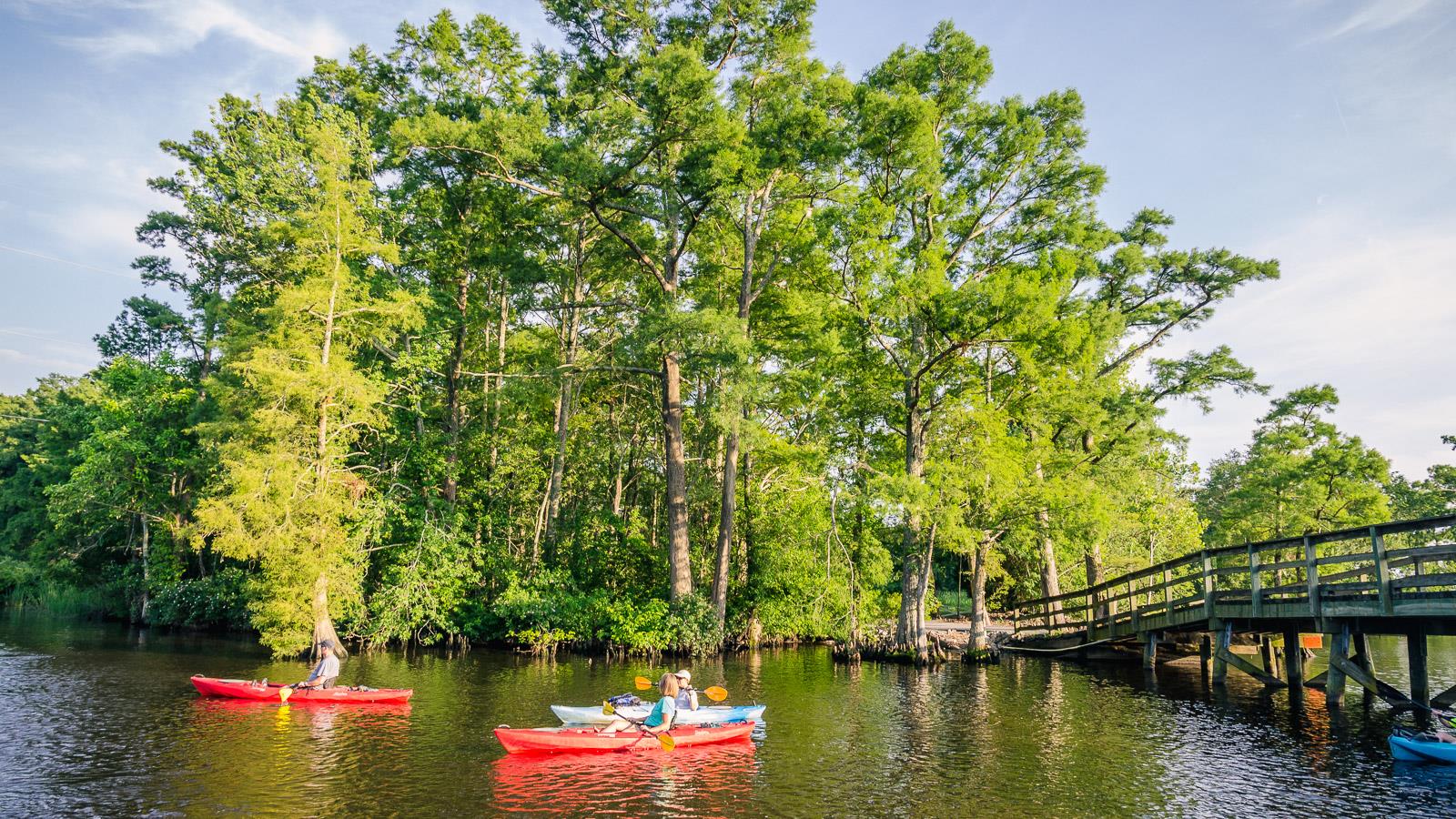 Kayaking on Queen Anne Creek, Edenton NC